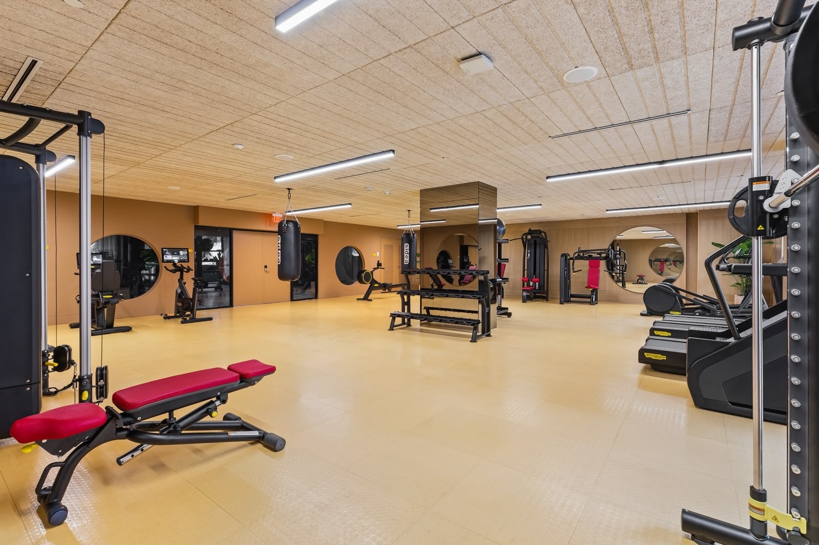 Fitness center with full equipment